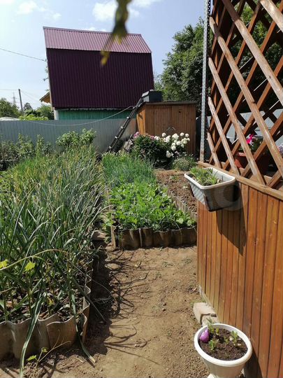 Дача 30,1 м² на участке 3 сот.