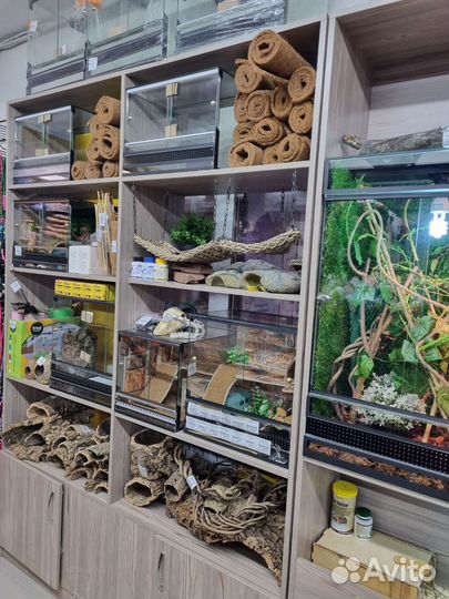 Террариум для пауков, эублефаров, агам
