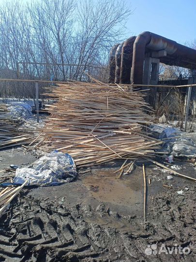 Отдам дрова бесплатно