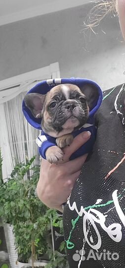 Супер детки