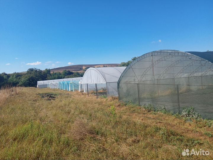 Тепличное хозяйство