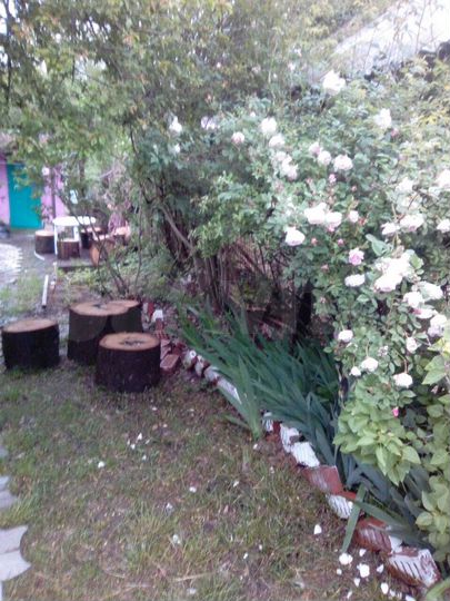 3-к. квартира, 68,7 м², 2/2 эт.