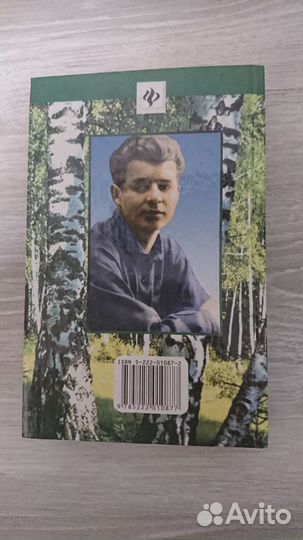 Лукьянов А. В. Сергей Есенин. Тайна жизни. Феникс