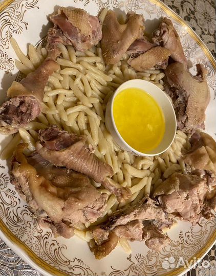 Куры домашние