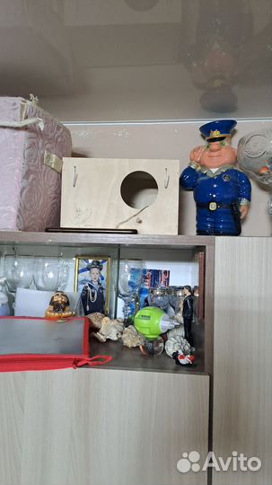 Попугай корелла с клеткой
