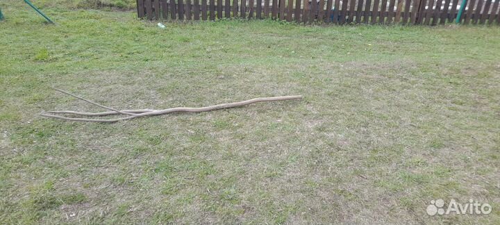 Вилы для сена деревянные