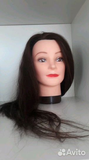 Обучающая голова