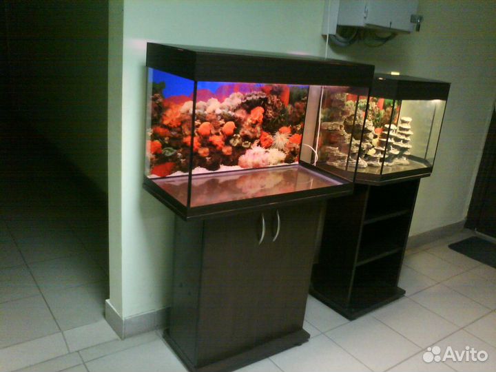 Аквариум100 биофильтр, фон, тумба