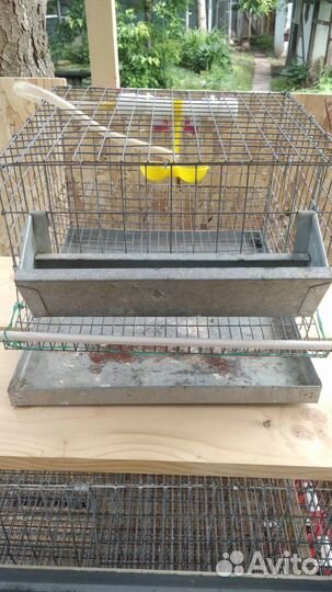 Клетка для перепелок