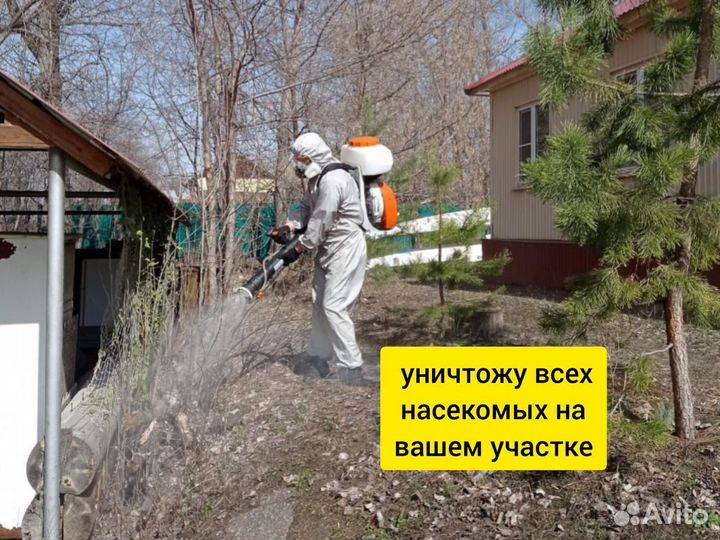 Уничтожу комаров, клещей, борщевик на участке