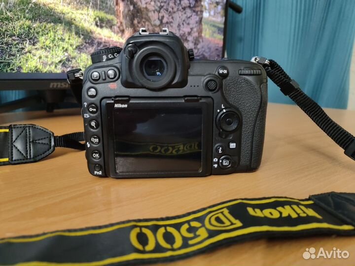 Nikon D500