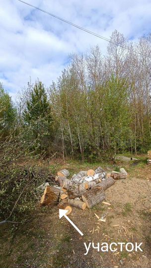 Участок 15 сот. (ИЖС)