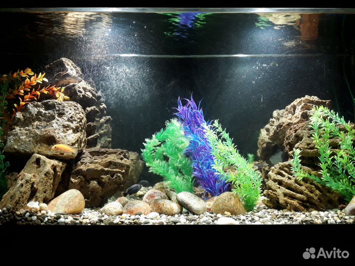 Аквариум - чистка, ремонт, переезд, изготовление