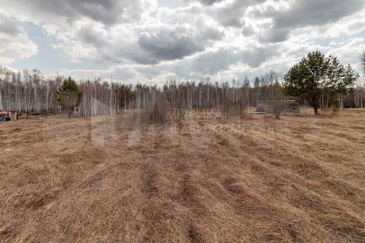 Участок 10,9 сот. (СНТ, ДНП)