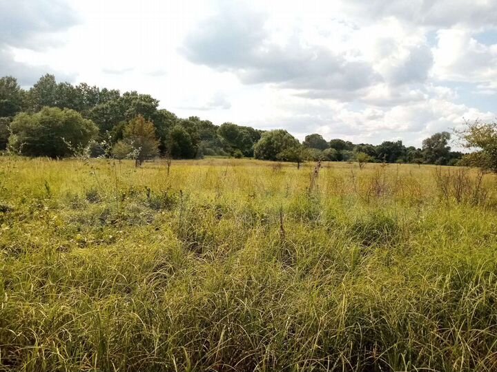 Участок 60 сот. (ИЖС)