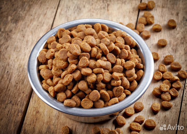 Корм для собак
