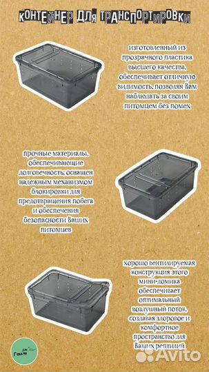 Эублефар малыш