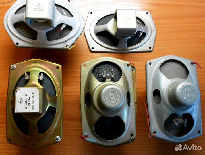 Динамики Россия