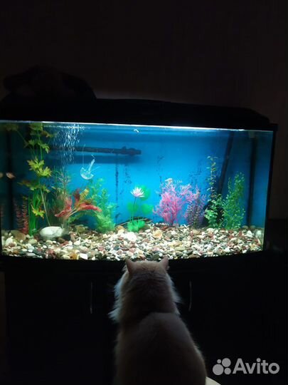 Панорамный аквариум aquael 180л