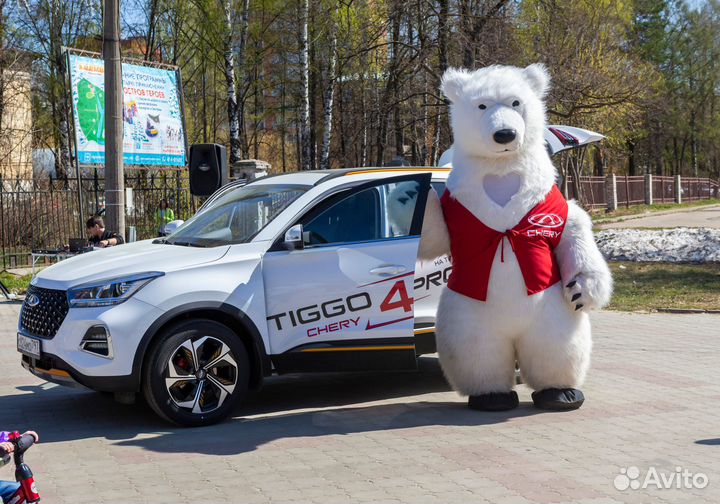 Ростовой медведь