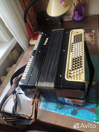 Баян тульский 