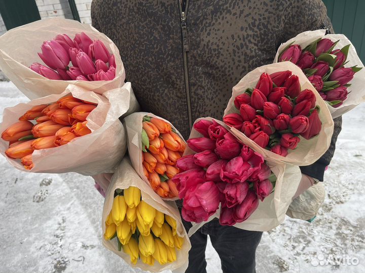 Тюльпаны к 8 марта