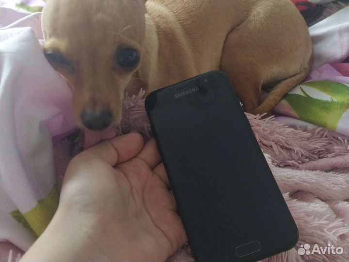 Samsung galaxy a3 2017