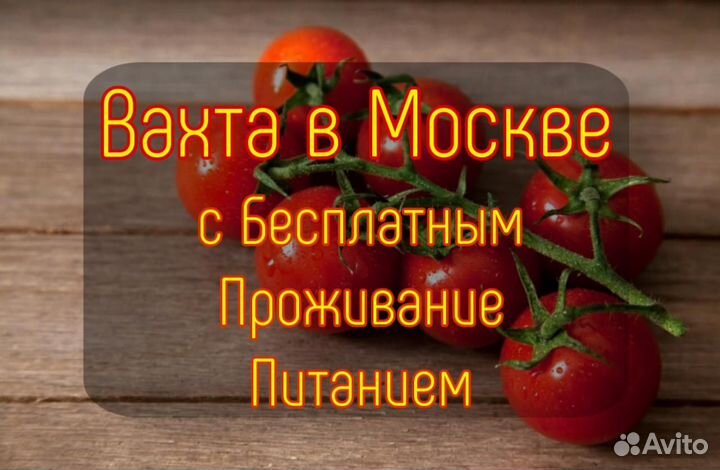 Вахта в Москве - Уборщик урожая (томатов)