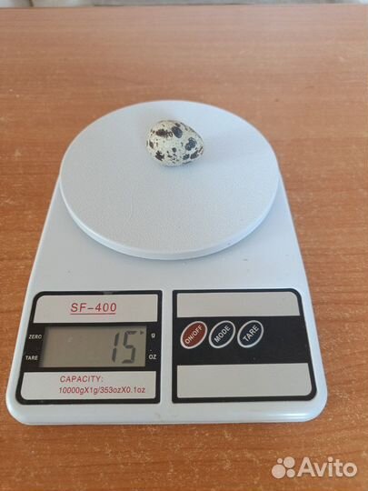 Яйца перепелиные домашние