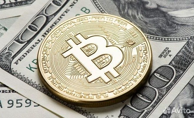 Юрист по цифровой валюте