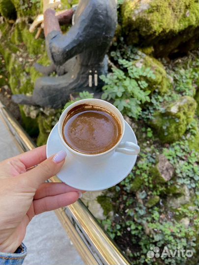 VIP-тур в Абхазию на 6-ти местном минивэне