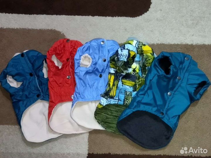 Одежда для маленькой собаки