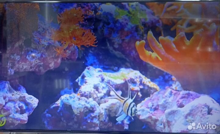 Телевизор Samsung Smart