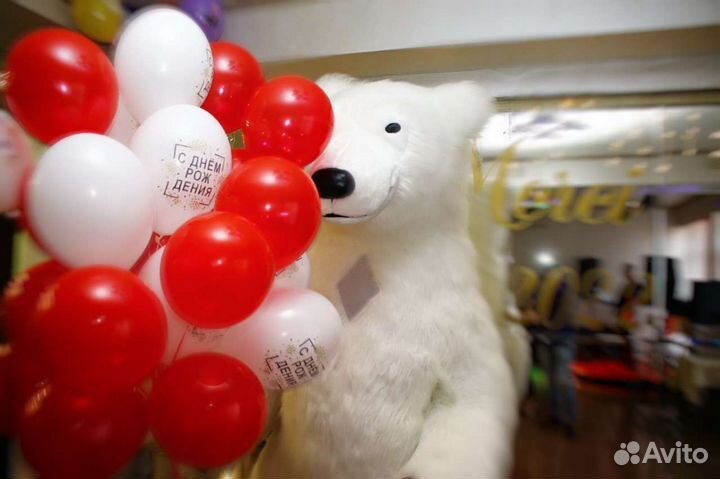 Белый Медведь Панорамычь поздравление Аниматор