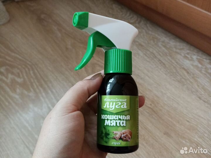 Кошачья мята