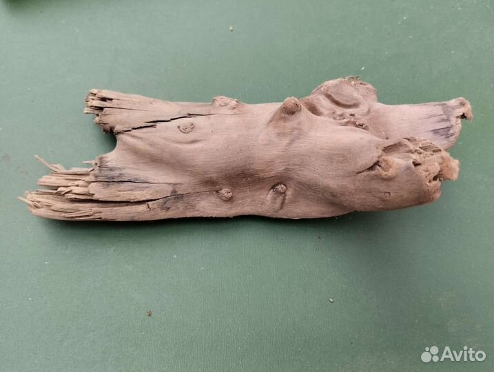 Декоративные ветки, коряги