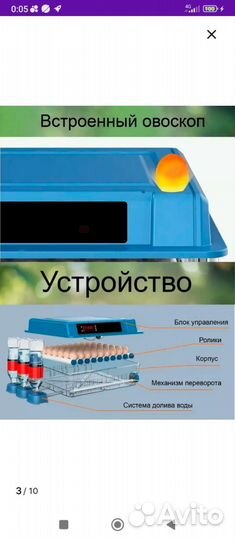 Инкубатор для яиц автоматический