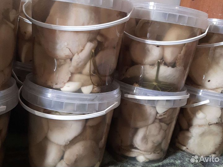 Грузди соленые