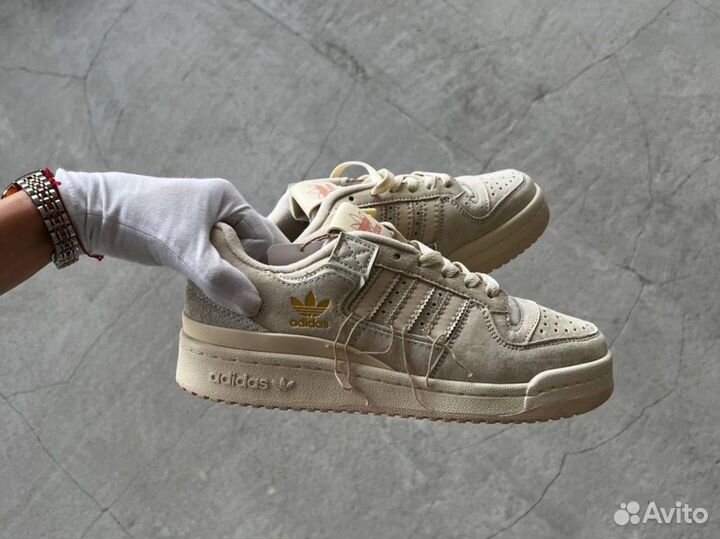 Adidas forum 84 low off white