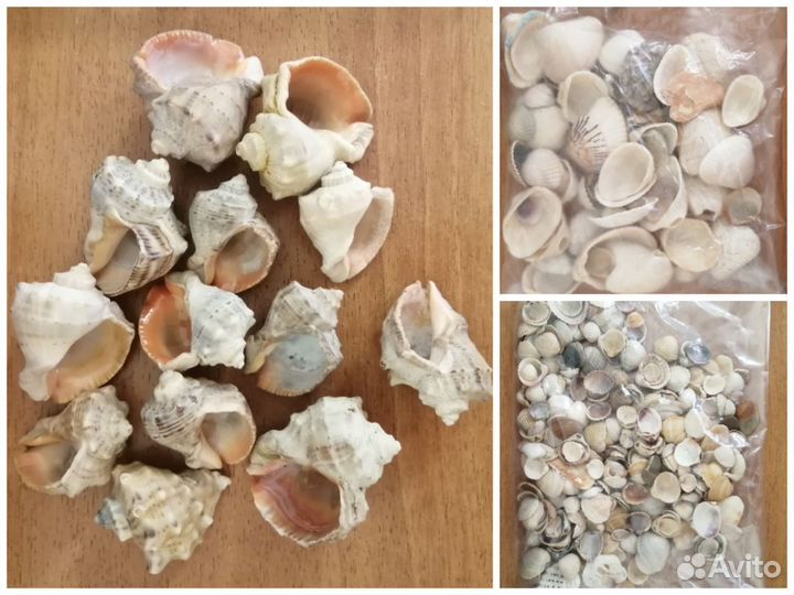 Флорариум. Декор