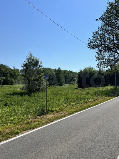 Участок 50 сот. (ИЖС)