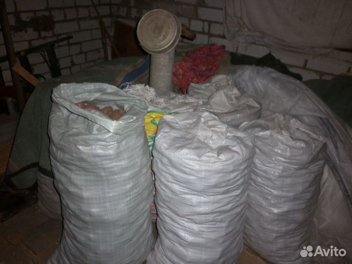 Картофель мелкий