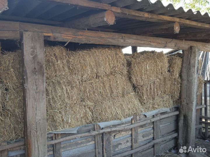 Сено солома