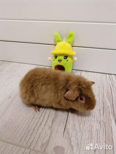 Тедди Девочка