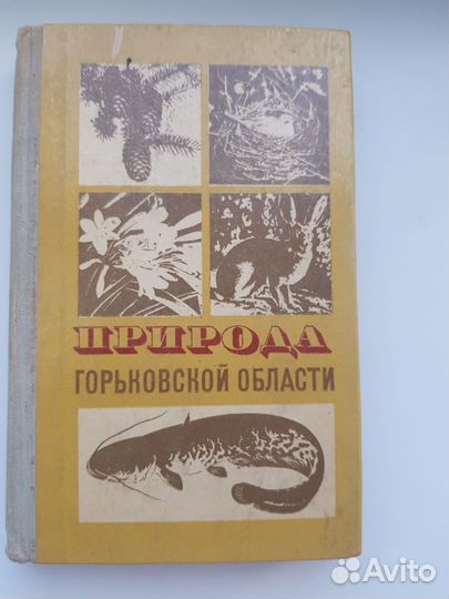 Природа Горьковской области