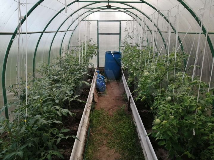 Дом 50 м² на участке 16 сот.