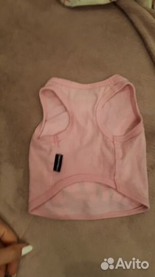 Майка для кошки