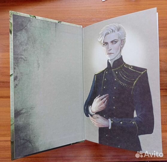 Книга Песнь Сорокопута