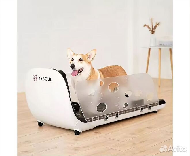 Беговая дорожка Yesoul для собак