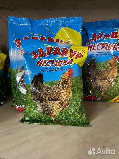 Здравур Несушка для кур-несушек и др